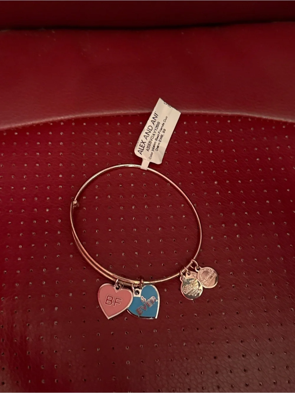 Alex and Ani Color Infusion Best Friends Duo Charm Expandable Bracelet